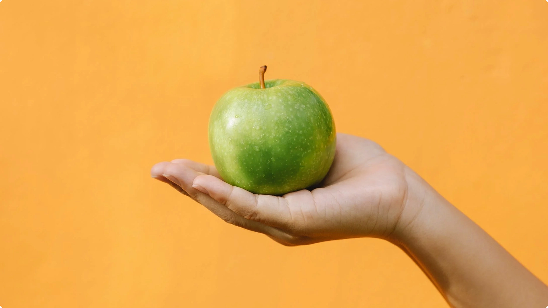 Hűség app több, mint 400 gyógyszertár részére